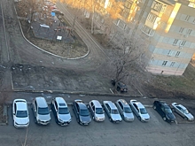 Более 250 обращений поступило через чат-бот для сообщений о парковке на газонах в Челябинске