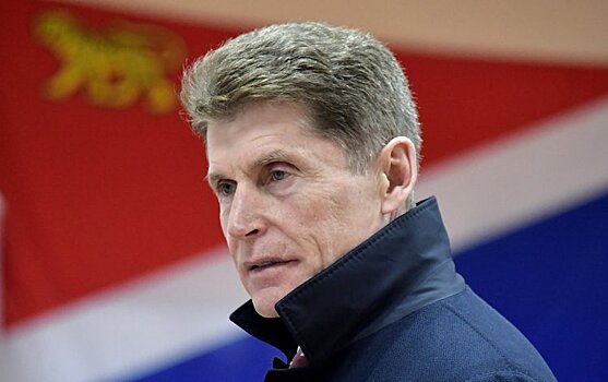 Кожемяко попросил Шойгу помочь урегулировать земельный вопрос в пригороде Владивостока