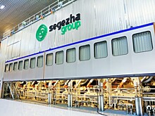 Акции Segezha Group  рухнули на 7% после публикации отчетности