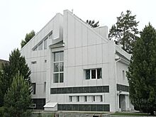 Роскошный особняк в Новосибирской области выставлен на продажу за 175 млн рублей