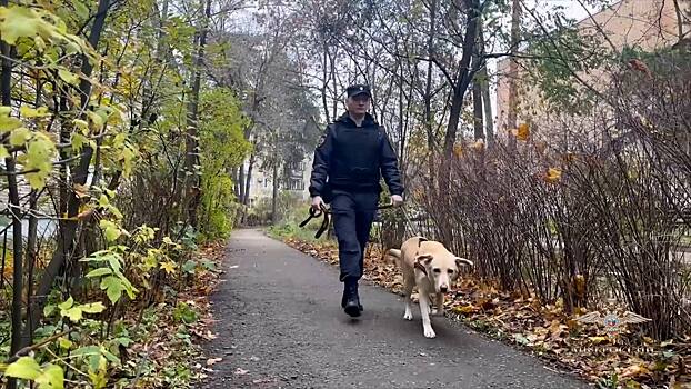 Полицейский оказал помощь водителю, которому стало плохо на дороге