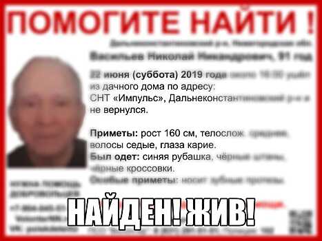 91-летнего дедушку нашли живым в Нижегородской области
