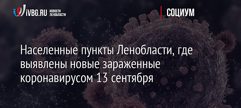 В течение дня в Ленобласть поступит партия вакцины от коронавируса