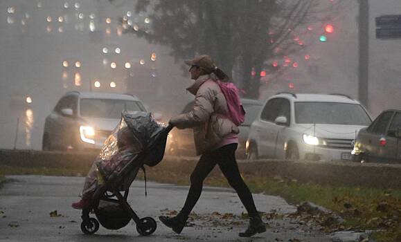 В России задумали ограничить выдачу маткапитала возрастом матери