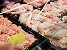 Челябинские компании наращивают экспорт куриных лап в Китай до тысяч тонн