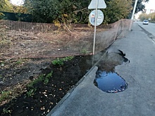 В Новосибирске на улице Оборонной из-за порыва трубы провалился асфальт