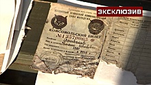 Орден и комсомольский билет: под Петербургом нашли Ил-2 и останки летчика