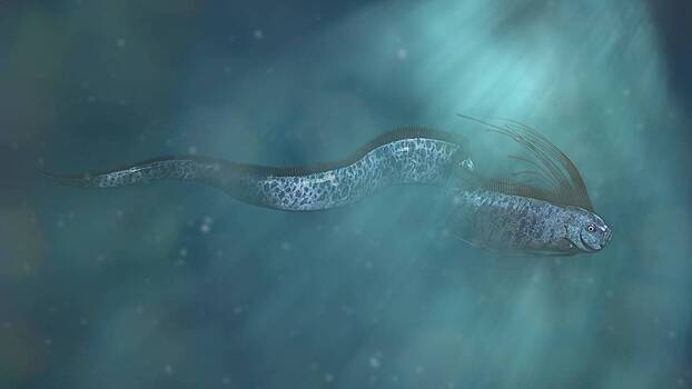 Рыба Судного дня неожиданно приблизилась к людям в Мексике