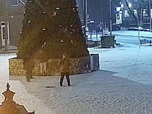В Калининградской области подростки разгромили новогоднюю елку