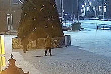 В Калининградской области подростки разгромили новогоднюю елку
