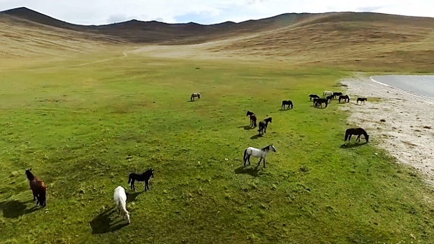 «Без Байкала»: документальный фильм о рае, исчезающем на наших глазах