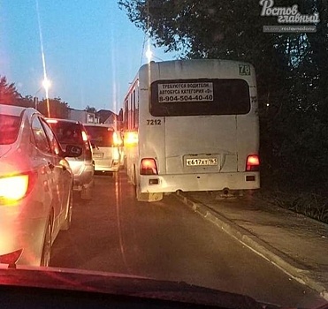 В Ростове водителя маршрутки, который проехал по тротуару, проверяет полиция