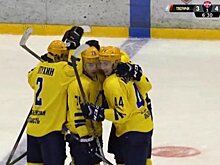 Пензенский «Дизелист» стал полуфиналистом чемпионата НМХЛ