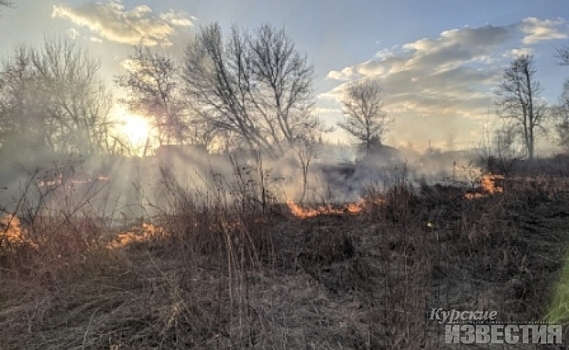 В МЧС Курской области назвали районы с самым большим количеством возгораний