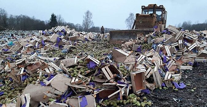 20 тонн груш неизвестного происхождения уничтожили под Псковом