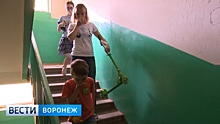 В Воронеже жильцы дома на улице Перхоровича 4,5 года терпят соседство с «собачьей» квартирой