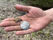 Вологодские поисковики обнаружили медаль "За отвагу" погибшего красноармейца