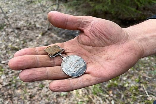 Вологодские поисковики обнаружили медаль "За отвагу" погибшего красноармейца