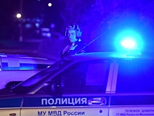 Экспертиза: останки в доме стрелка из Кратово принадлежат его матери