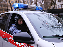 «ЗАКЛАДЧИКА» ГАШИША ЗАДЕРЖАЛИ РОСГВАРДЕЙЦЫ В НОВОЙ МОСКВЕ