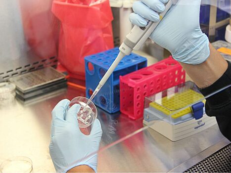 В России создают тест на «китайский» вирус