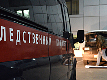 Напавшего на школу в Бурятии признали невменяемым