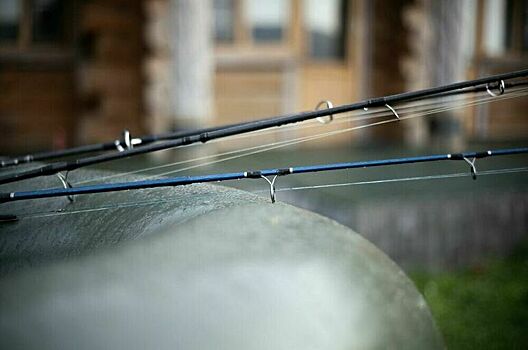 Рыболовам-любителям хотят предоставить больше мест для ловли