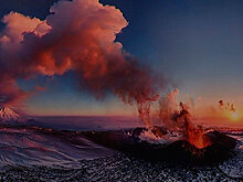 В Москве проходит фестиваль природы «Первозданная Россия»