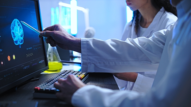 Ученые воспроизвели кору мозга на компьютере