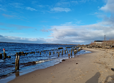 Соломбальский терминал обновляет инфраструктуру для экспорта грузов