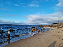 Соломбальский терминал обновляет инфраструктуру для экспорта грузов