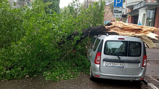 На улице Яблочкова в Саратове дерево повредило несколько машин