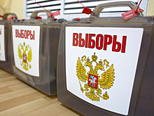 Кандидата в мэры Шарьи сняли с выборов из-за недостоверных подписей избирателей