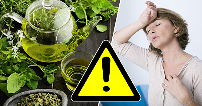 Побочные эффекты: чем зеленый чай опасен для здоровья