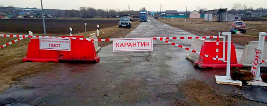 Граховский и Алнашский районы Удмуртии закрыли на карантин