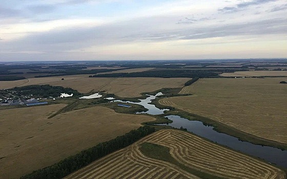 ЦИК предложил избрать Сидоренко главой избиркома Рязанской области