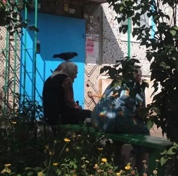 Только у нас в стране можно увидеть такое!  