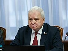 Сенатор: Сотрудничество парламентов России и Китая помогает конкретным проектам