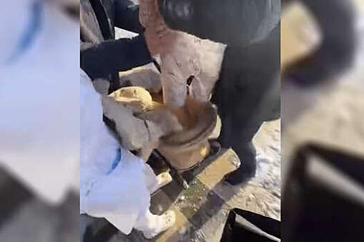 Прокуратура начала проверку падения ледяной глыбы на коляску с ребенком в Москве