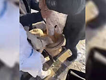 Прокуратура начала проверку падения ледяной глыбы на коляску с ребенком в Москве