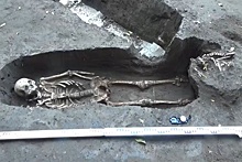 В Азове нашли средневековый склеп с домашним котом XIV столетия