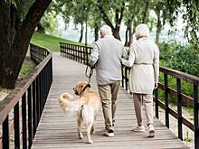 Блогер побывала в Европе и сравнила жизнь местных пенсионеров с жизнью российских