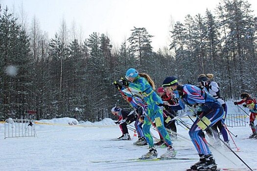 Подмосковная спортсменка выиграла первенство мира по спортивному ориентированию