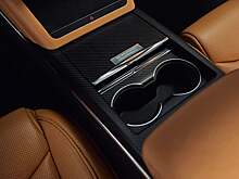 Владельцам моделей Tesla предложили переделку салона в бамбуковый кожзаменитель