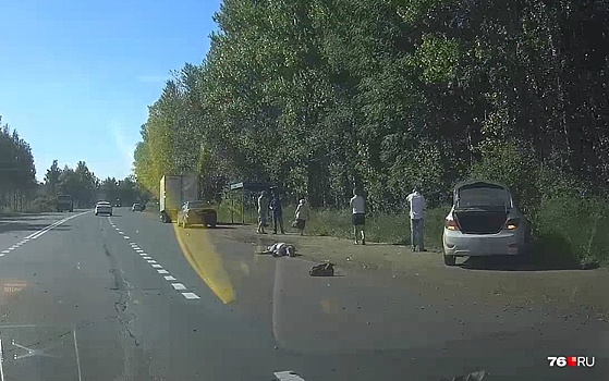 Признался. В суд передали дело 20-летнего водителя, сбившего насмерть женщину в Брагино