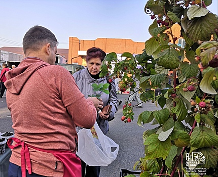 В Курске 14 мая впервые пройдёт садовая ярмарка