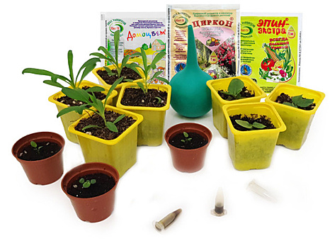 Почему "Циркон" и "Эпин" не работают: 5 ошибок огородника, которые делают эти препараты бесполезными