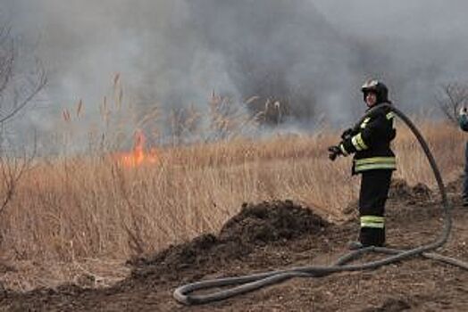 Сколько пожаров из-за сжигания сухой травы произошло в Татарстане?