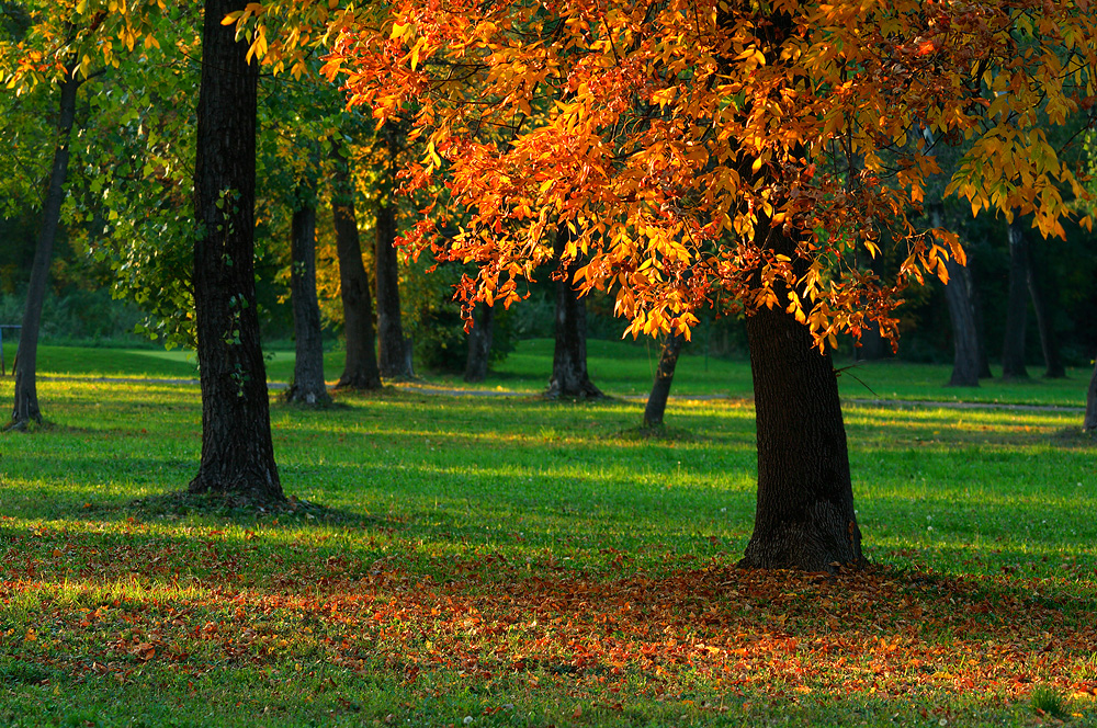 Парк Ташмайдан, Белград, Сербия