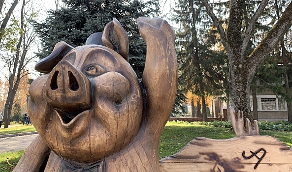 В Воронеже предложили сделать парк развлечений по мотиву русских народных сказок